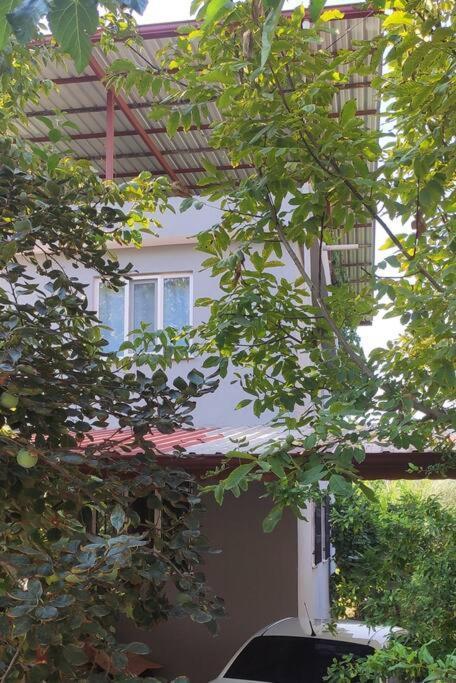 Engin Home パムッカレ エクステリア 写真